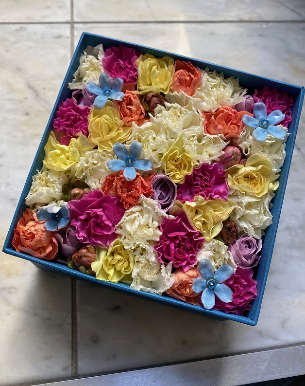 ニコライ・バーグマン