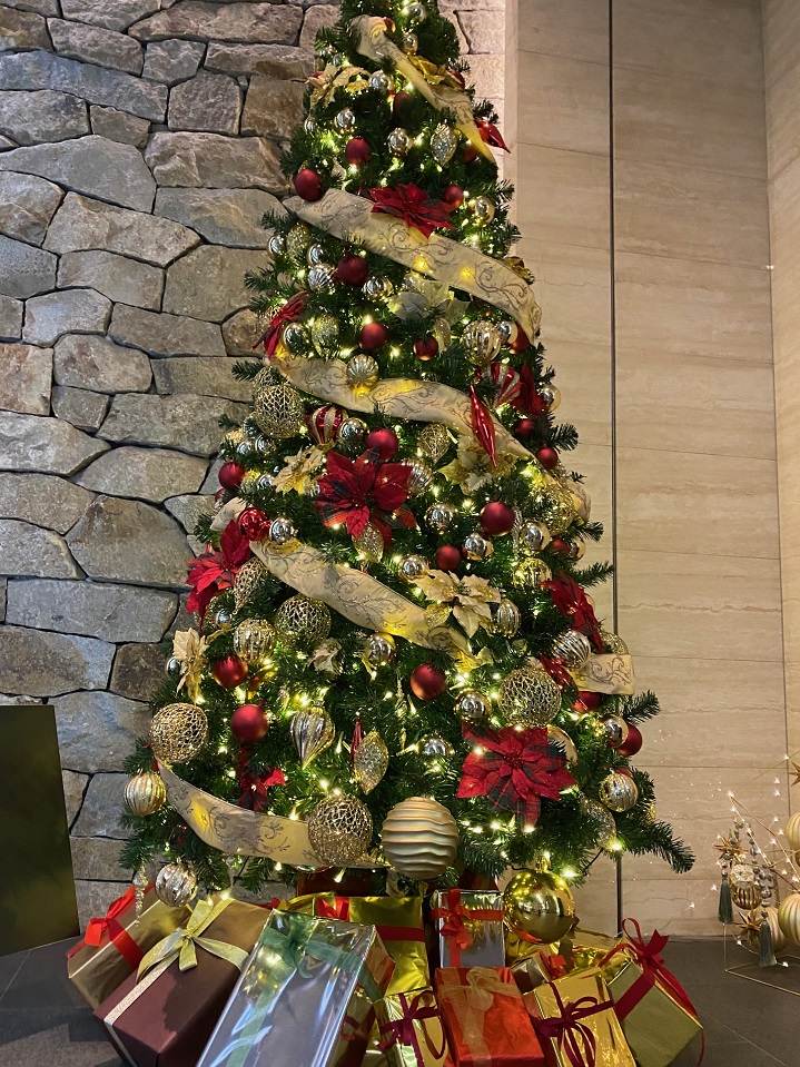 レソラ天神 リストランテKubotsu